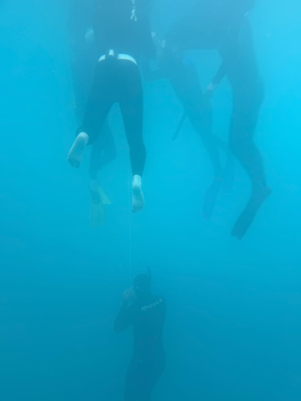 Freitauchende im blauen Wasser des Attersees