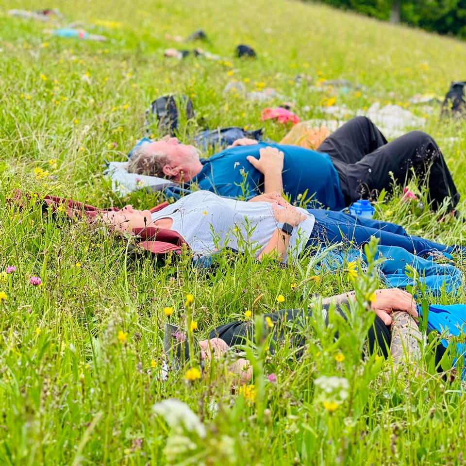 Zwei Teilnehmer liegen entspannt im Gras einer Bergwiese
