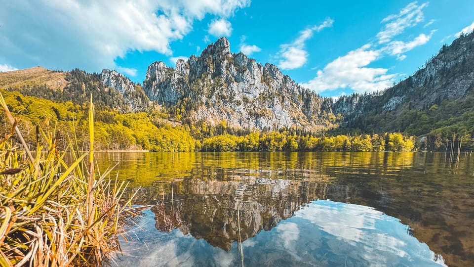 Laudachsee mit herbstlichem Schilf und Bergpanorama